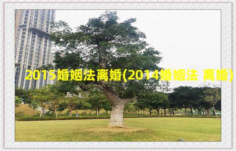 2015婚姻法离婚(2014婚姻法 离婚)